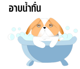 Nong Party Hiso Laanna(Shih-Tzu) sticker #5603522