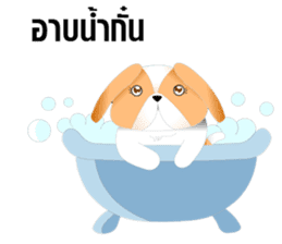 Nong Party Hiso Laanna(Shih-Tzu) sticker #5603522