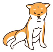Japanese Shiba Inu hanako sticker #5764145