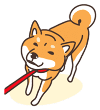 Japanese Shiba Inu hanako sticker #5764155