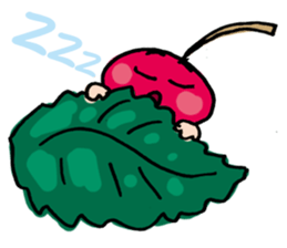 The cherry boy sticker #5916243