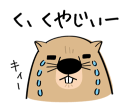 Wow Wombat sticker #6010612