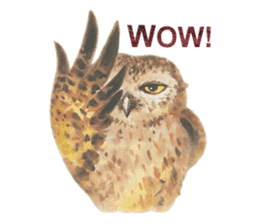 Watercolor owls sticker #7037544