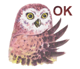 Watercolor owls sticker #7037546