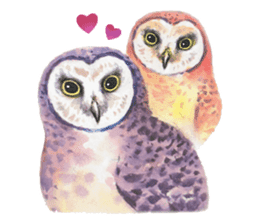 Watercolor owls sticker #7037551