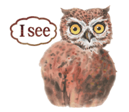 Watercolor owls sticker #7037554