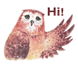 Watercolor owls sticker #7037556