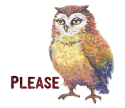 Watercolor owls sticker #7037557