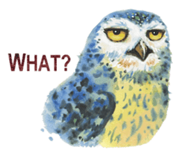 Watercolor owls sticker #7037558