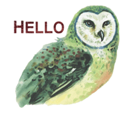 Watercolor owls sticker #7037560
