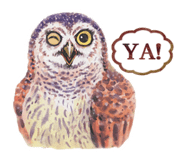 Watercolor owls sticker #7037563