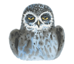 Watercolor owls sticker #7037570