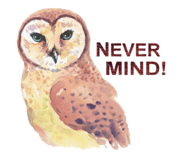 Watercolor owls sticker #7037571