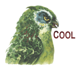 Watercolor owls sticker #7037572