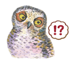 Watercolor owls sticker #7037575