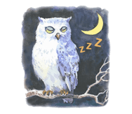 Watercolor owls sticker #7037579