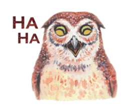 Watercolor owls sticker #7037582