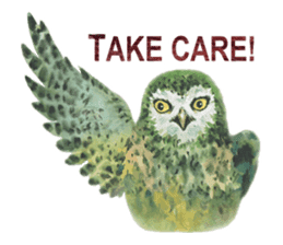 Watercolor owls sticker #7037583
