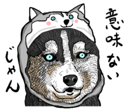 wig dog sticker #7162051