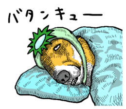 wig dog sticker #7162061