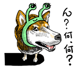 wig dog sticker #7162073