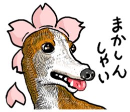 wig dog sticker #7162076