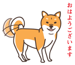Japanese Shiba Inu hanako2 sticker #7431124