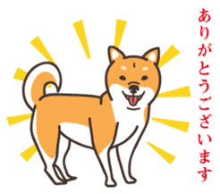 Japanese Shiba Inu hanako2 sticker #7431125