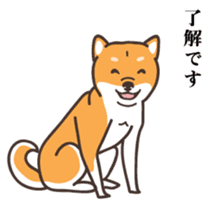 Japanese Shiba Inu hanako2 sticker #7431128