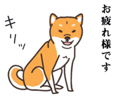 Japanese Shiba Inu hanako2 sticker #7431129