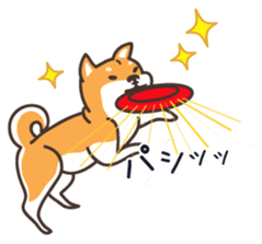 Japanese Shiba Inu hanako2 sticker #7431142