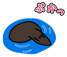 Sea creature Rakko(sea otter)  Sticker 1 sticker #7646240