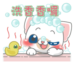 Give me Kinny-Chinchilla sticker #8046130