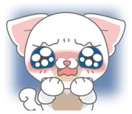 Give me Kinny-Chinchilla sticker #8046153