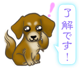 The Cute Dogs' Polite Messages sticker #8484296