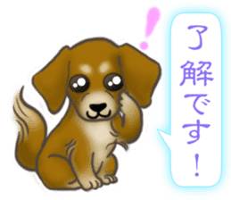 The Cute Dogs' Polite Messages sticker #8484296