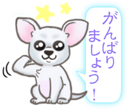 The Cute Dogs' Polite Messages sticker #8484301