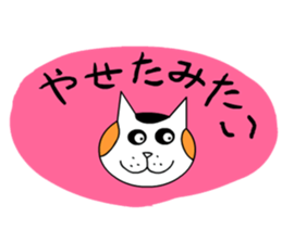 It is a variety of cat sticker #8518947