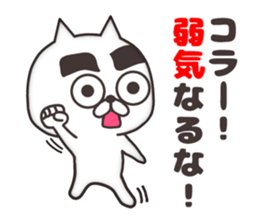 The cat of thick eyebrows sticker #8698459