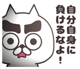 The cat of thick eyebrows sticker #8698462
