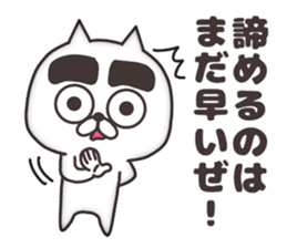 The cat of thick eyebrows sticker #8698464