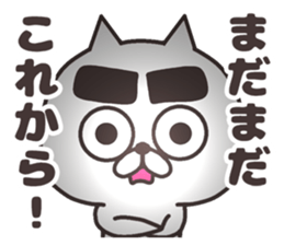The cat of thick eyebrows sticker #8698465