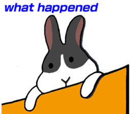 Zai Zai and Maru sticker #9082573