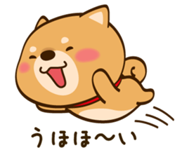 Cute Shibainu sticker #9289144