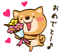 Cute Shibainu sticker #9289150