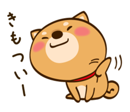 Cute Shibainu sticker #9289153