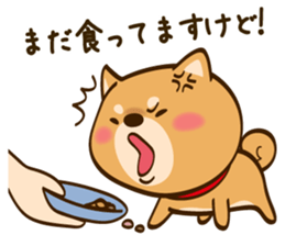 Cute Shibainu sticker #9289154