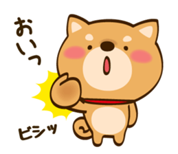 Cute Shibainu sticker #9289159