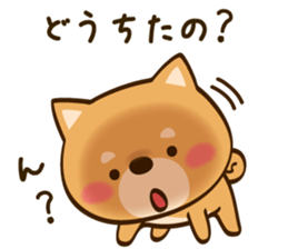 Cute Shibainu sticker #9289161