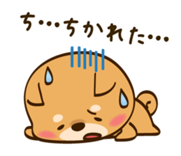 Cute Shibainu sticker #9289163